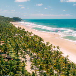 Txai Resort Itacaré oferece vista privilegiada para observar baleias jubarte no sul da Bahia