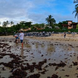 Rede Carmel Hotéis promove limpeza de praias cearenses em celebração ao World Cleanup Day