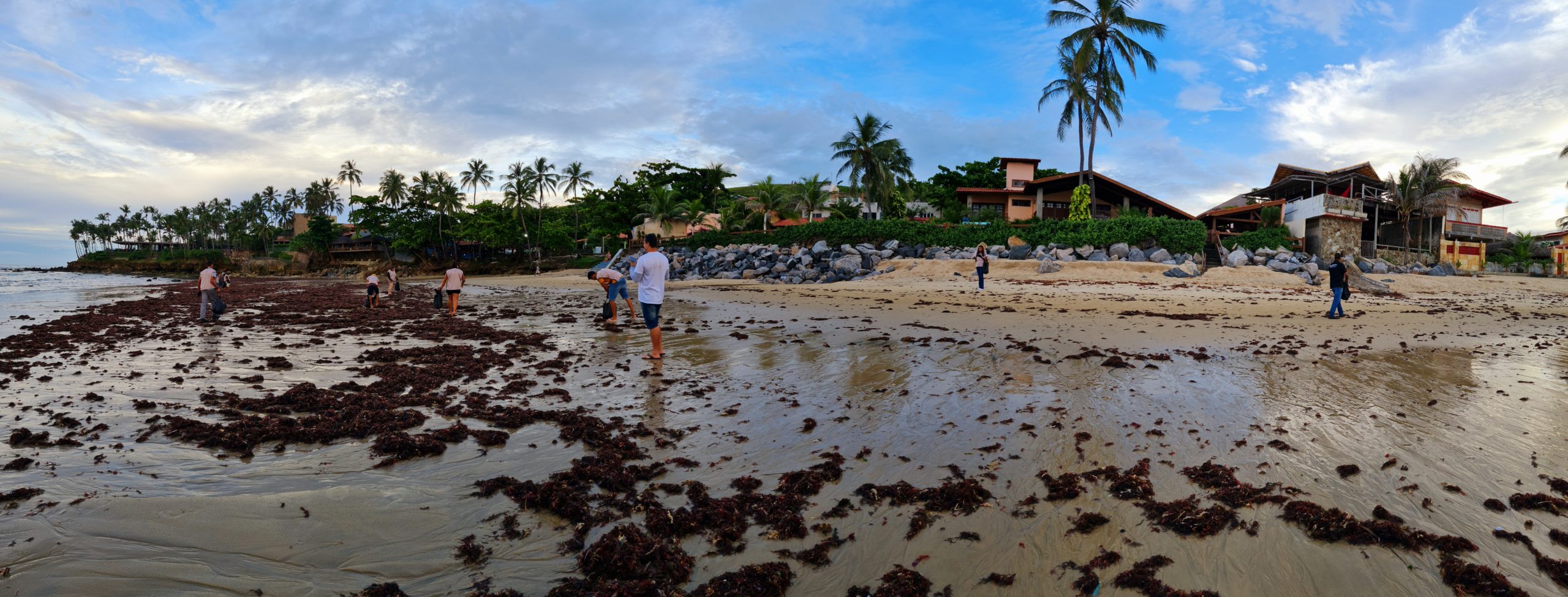 No momento, você está visualizando Rede Carmel Hotéis promove limpeza de praias cearenses em celebração ao World Cleanup Day