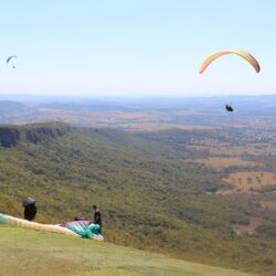 Serviços em Goiás têm a maior alta do País em julho