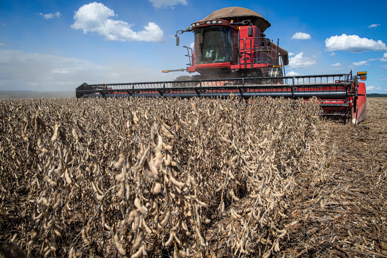 No momento, você está visualizando Goiás tem alta recorde no valor da produção agrícola em 2021