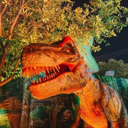 Magic Games traz parque outdoor ‘T-Rex Park’ para o Flamboyant Shopping, em Goiânia