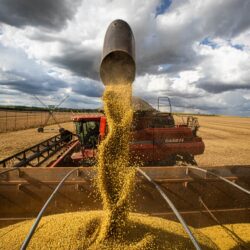 Agropecuária em Goiás deve fechar 2022 com Valor Bruto de Produção recorde