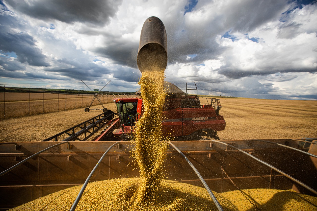 No momento, você está visualizando Agropecuária em Goiás deve fechar 2022 com Valor Bruto de Produção recorde