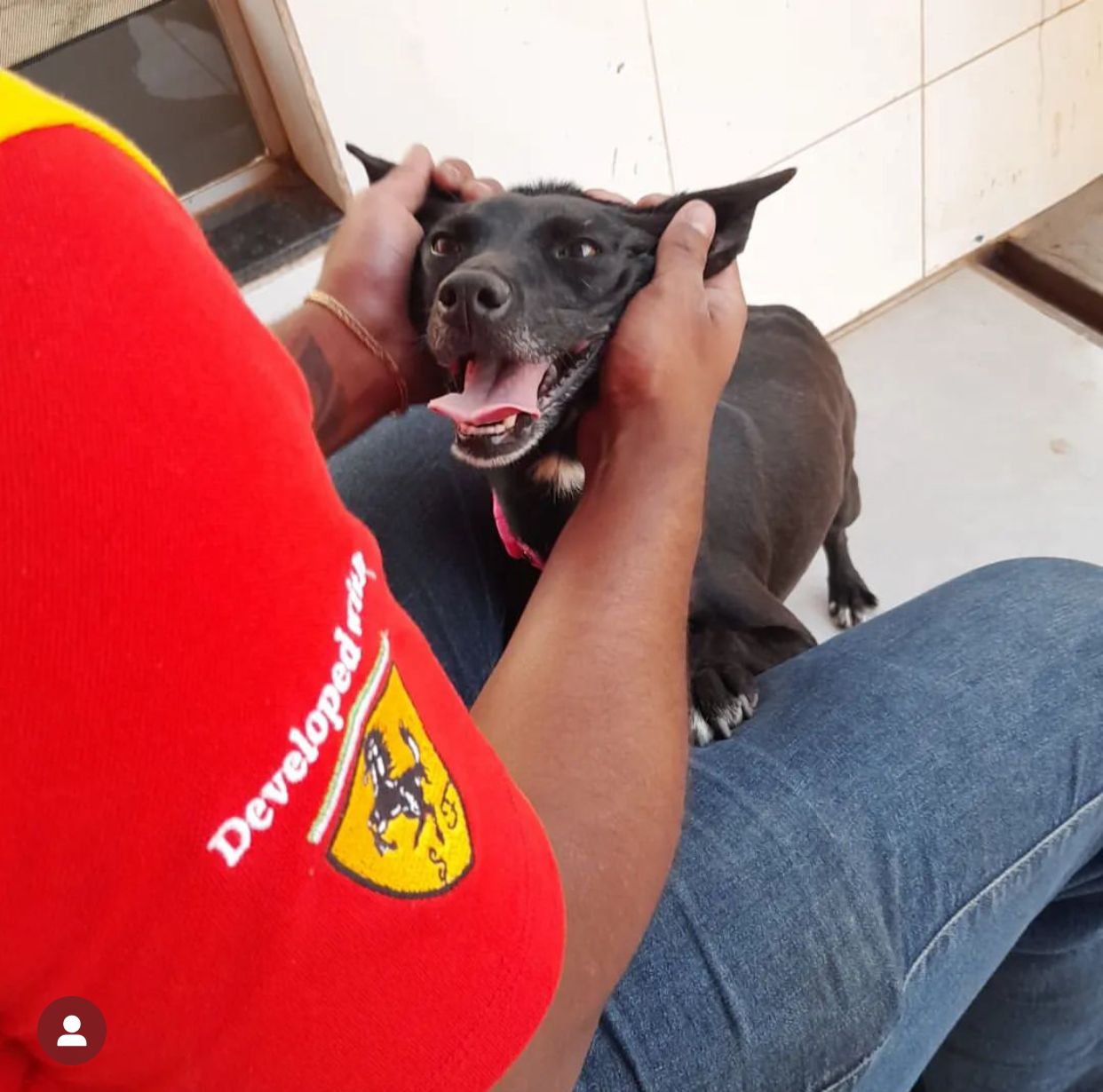 No momento, você está visualizando Cadelinha abandonada se torna “Supervisora de Autendimento” em posto de gasolina