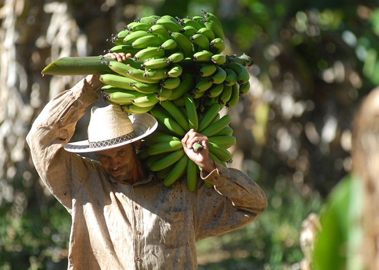 Você está visualizando atualmente Agricultura familiar será isenta da contribuição para Fundo de Infraestrutura