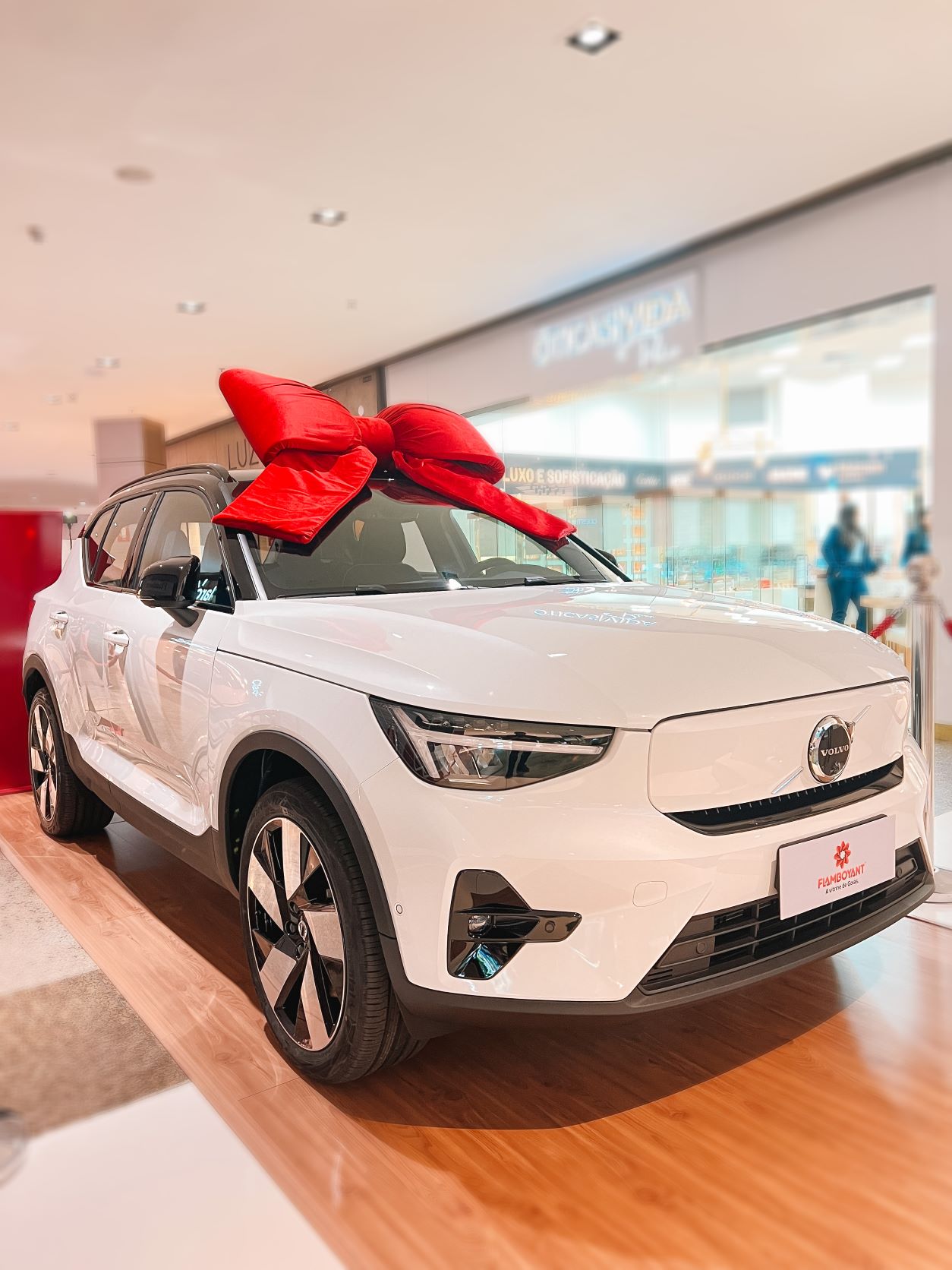 No momento, você está visualizando Compras de Natal sinalizam expectativas positivas no comércio goiano