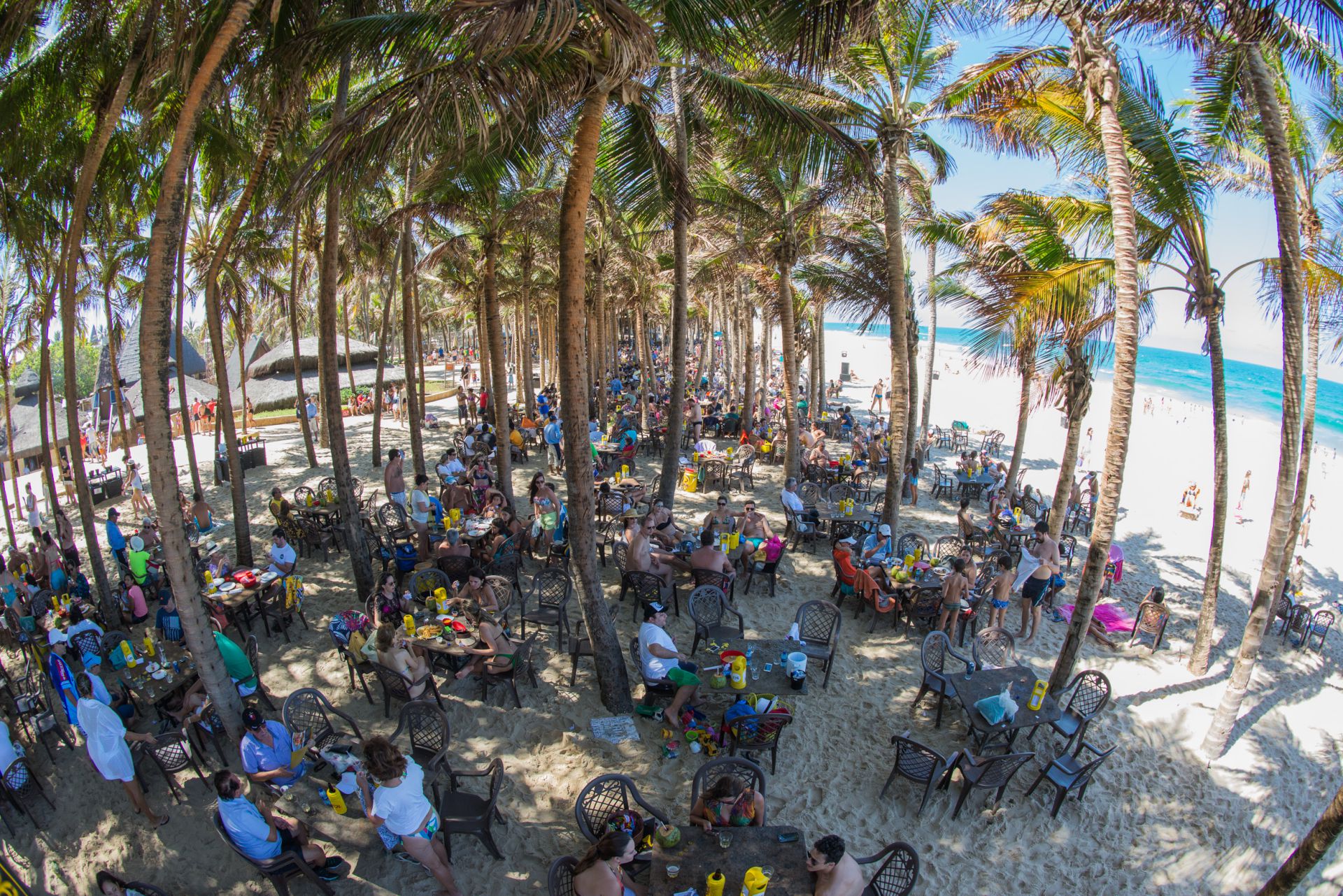 No momento, você está visualizando Beach Park lança pacotes especiais para o Réveillon 2023