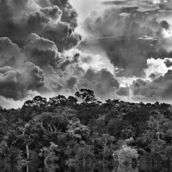 Exposição “Amazônia”, de Sebastião Salgado, fica em cartaz até o fim de janeiro, no Museu do Amanhã