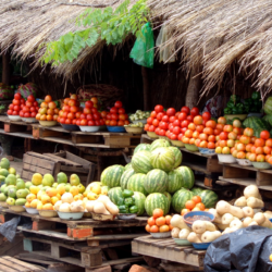 Frutas diuréticas para manter a hidratação e desinchar