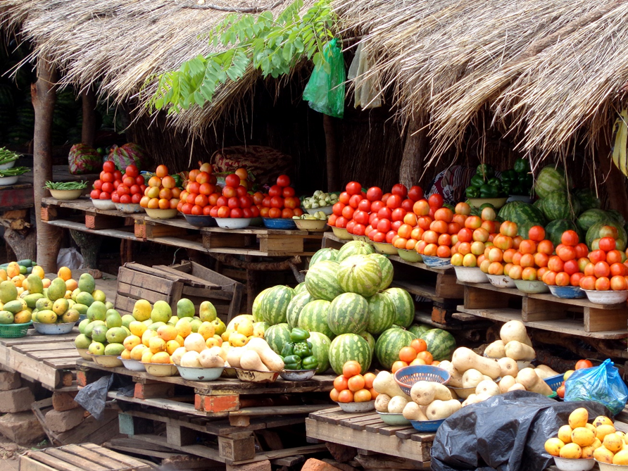 Você está visualizando atualmente Frutas diuréticas para manter a hidratação e desinchar