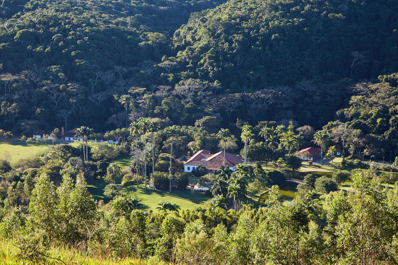 No momento, você está visualizando Refúgio ecológico para hospedagem: agricultura sintrópica, circuito das artes e visita a alambique centenário