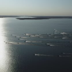 Governo de Goiás anuncia incentivo à Temporada de Pesca Esportiva