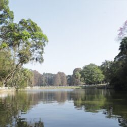 Urbia realiza visitas guiadas gratuitas para comemorar o Dia Mundial da Água nos Parques Horto Florestal e Cantareira