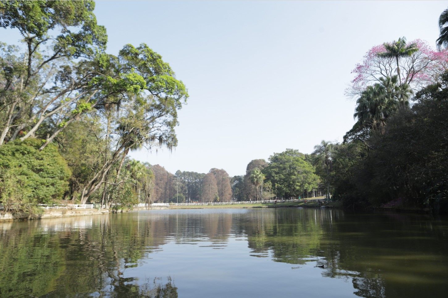 Você está visualizando atualmente Urbia realiza visitas guiadas gratuitas para comemorar o Dia Mundial da Água nos Parques Horto Florestal e Cantareira