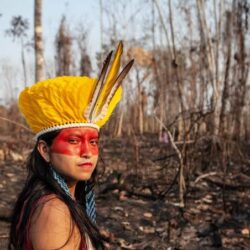 Museu Felícia Leirner e Auditório Claudio Santoro têm programação especial em celebração ao Dia dos Povos Indígenas