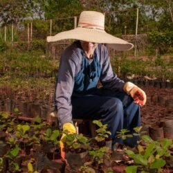 Formosa lidera criação de empregos no agro entre municípios brasileiros no mês de abril