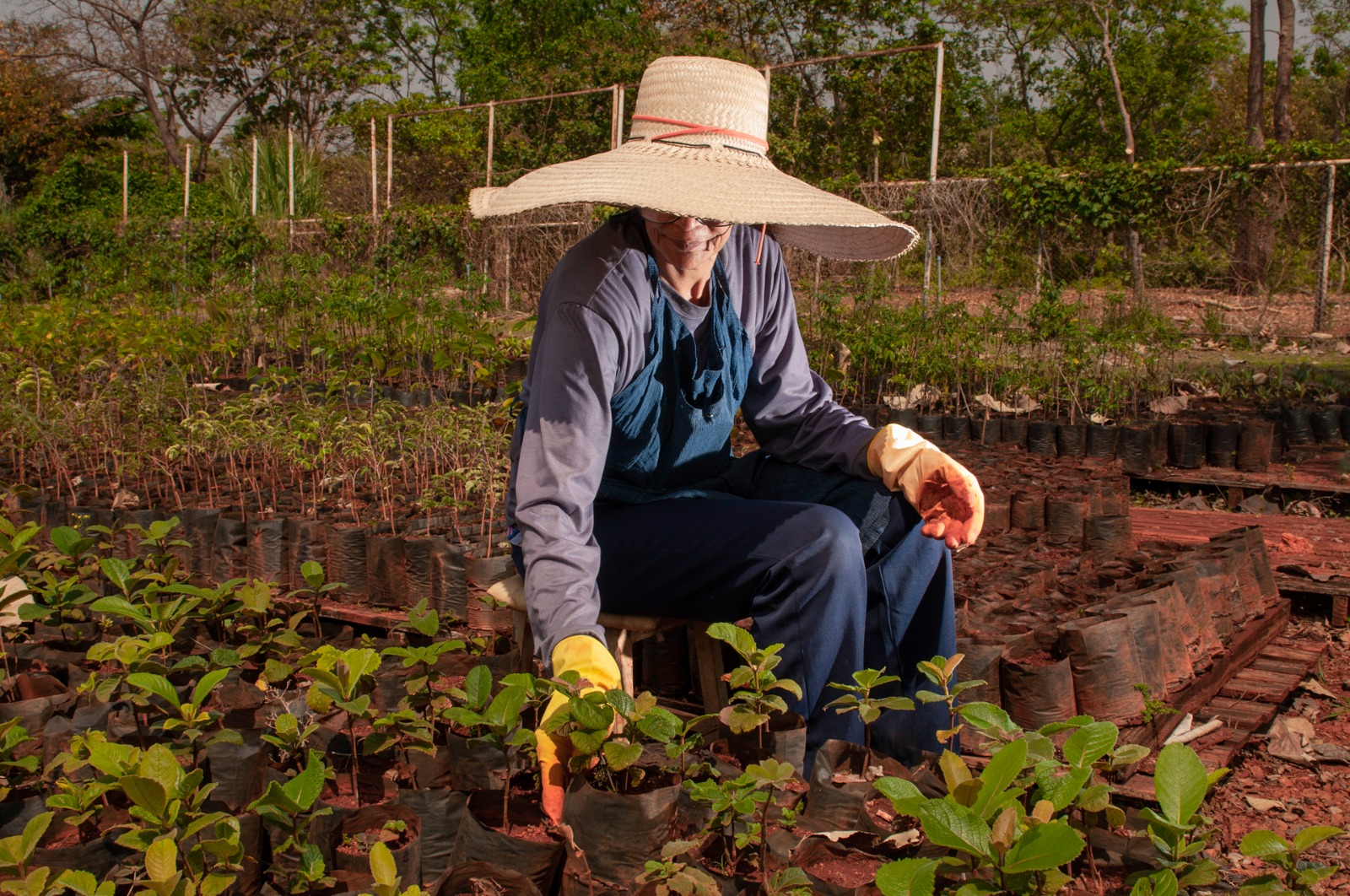 No momento, você está visualizando <em>Formosa lidera criação de empregos no agro entre municípios brasileiros no mês de abril</em>