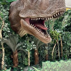 Arena do Jurassic World é atração gratuita para aproveitar últimos dias de férias em Goiânia