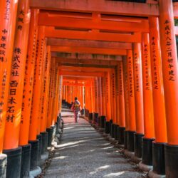 Santuário Fushimi Kyoto, lugar que nos Inspiram a autodescobertas