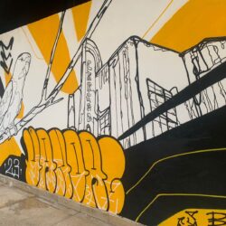 Vila Cultural Cora Coralina ganha novo mural de grafite