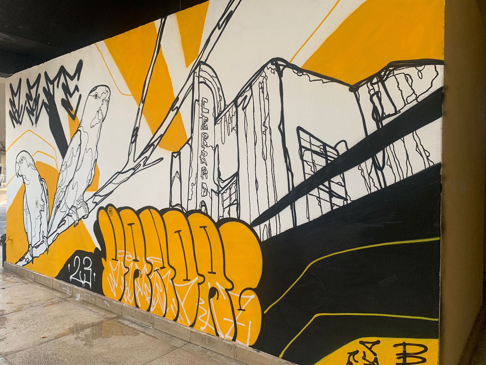 No momento, você está visualizando <em>Vila Cultural Cora Coralina ganha novo mural de grafite</em>