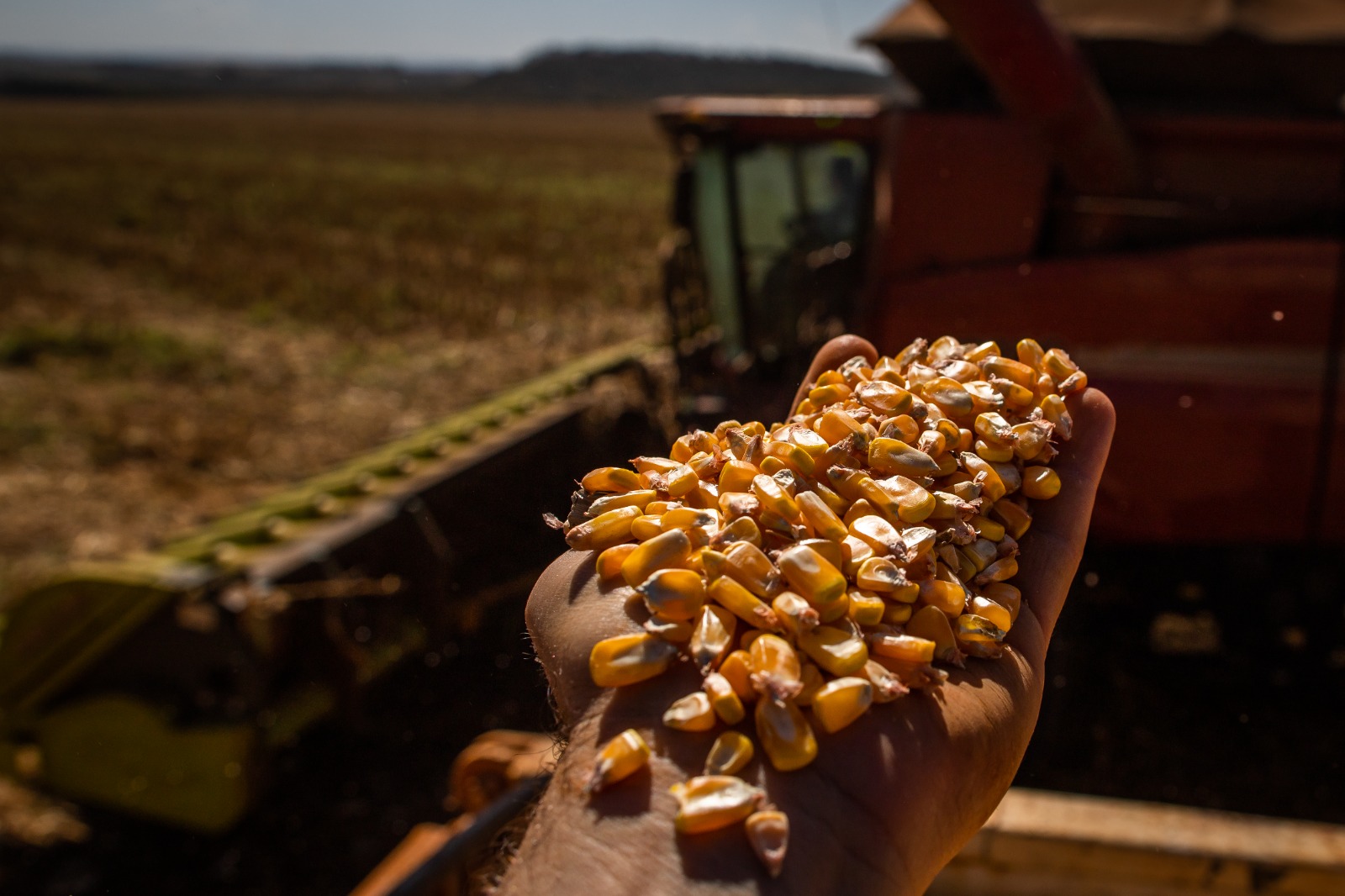 No momento, você está visualizando <em>Goiás bate recorde na produção de grãos na safra 2022/2023</em>