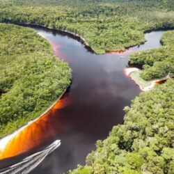 Descobertas pelos Cenários Espetaculares da Amazônia