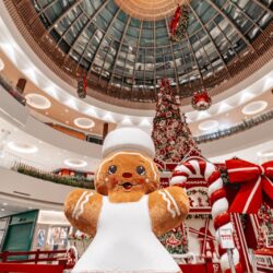 Flamboyant Shopping anuncia novas atrações para o Natal