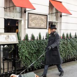 Hotel de luxo em Londres dá as boas-vindas aos filhotes mimados com o novo pacote ‘Best Furry Friend (BFF)’