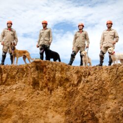 Governo de Goiás envia Corpo de Bombeiros para atuar no Rio Grande do Sul após fortes chuvas