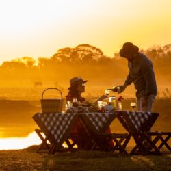 Rota Gastronômica Pantaneira por Paulo Machado” chega a sua versão impressa com livro que celebra a diversidade culinária da maior área alagável do mundo