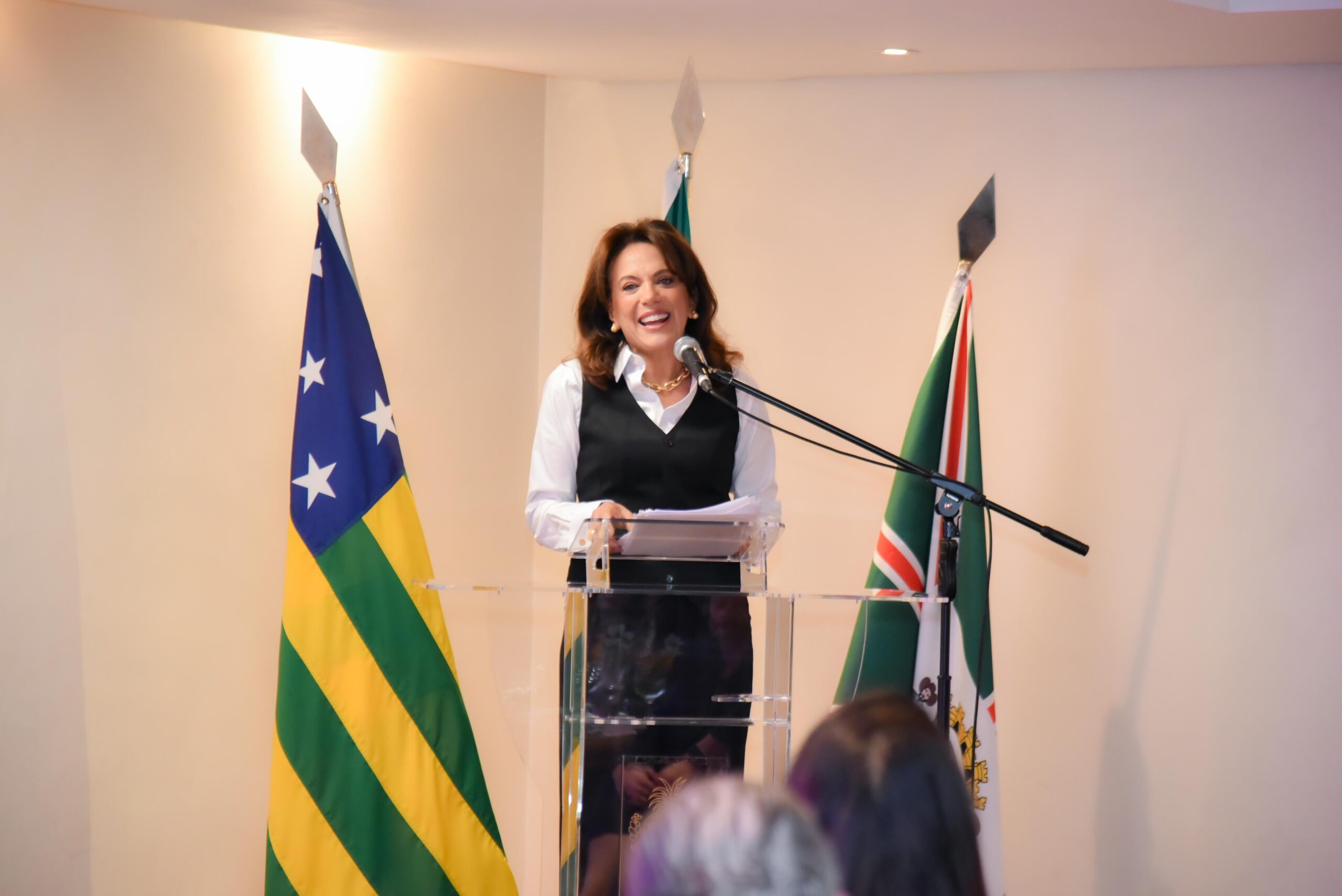 No momento, você está visualizando Gracinha Caiado apresenta resultados do Goiás Social ao Grupo Lide Mulher e ressalta importância das parcerias