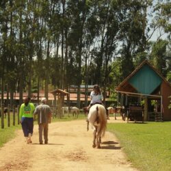 Férias de julho: Hotel Fazenda Mazzaropi oferece diversão e conforto para famílias