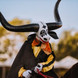 Circuito das Cavalhadas chega a Santa Terezinha neste fim de semana