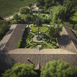 Vinícolas chilenas ficam ainda mais vibrantes e encantadoras com a chegada da primavera