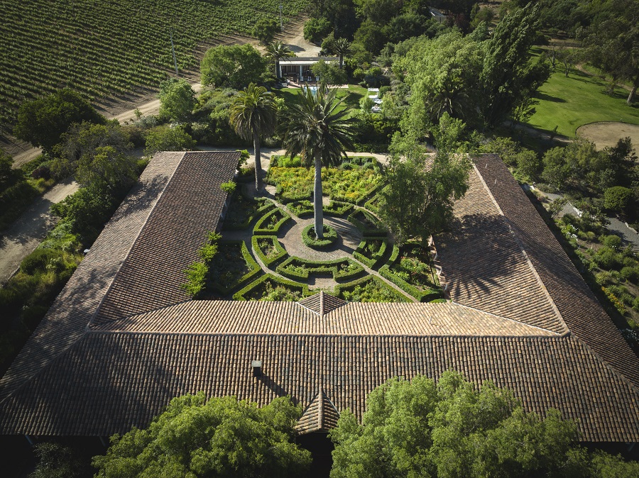 Você está visualizando atualmente Vinícolas chilenas ficam ainda mais vibrantes e encantadoras com a chegada da primavera