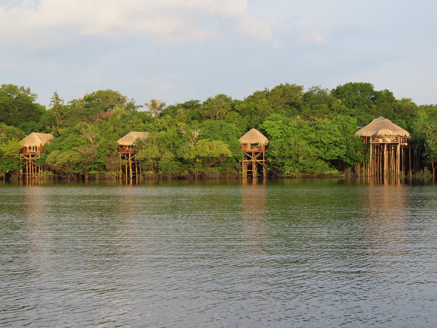 Você está visualizando atualmente Juma Amazon Lodge indica os melhores passeios para fazer na floresta