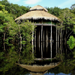 Conheça ecolodges incríveis no Brasil e ao redor do mundo