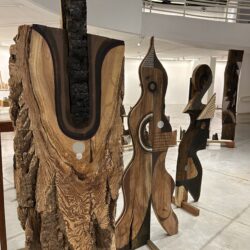 MAC Goiás recebe exposição inédita de Kboco com 135 obras a partir desta quinta-feira (12)