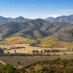 Chile: vinícola Matetic oferece hospedagem em domos e cabanas no bosque