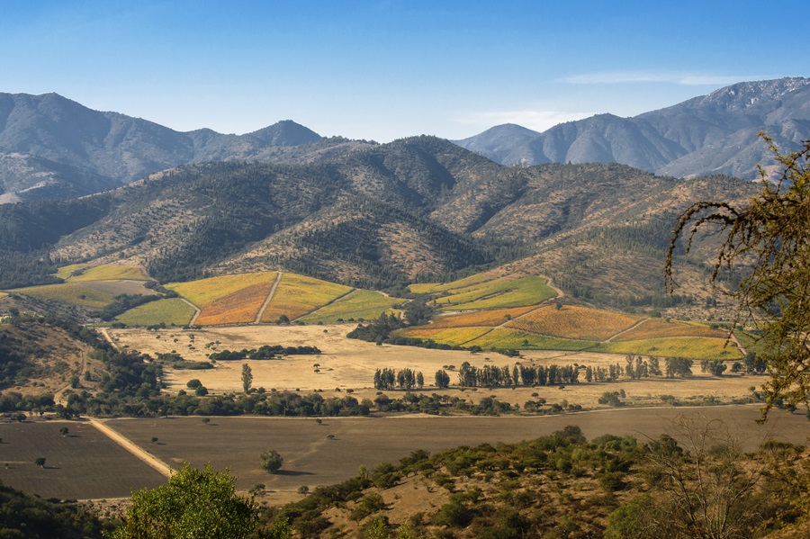 No momento, você está visualizando Chile: vinícola Matetic oferece hospedagem em domos e cabanas no bosque