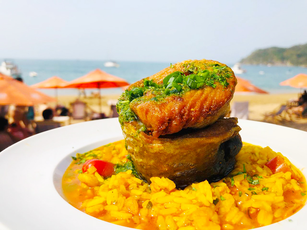 No momento, você está visualizando Conheça alguns dos pratos que estarão no Festival Gastronômico Sabores da Praia – Edição Litoral Norte