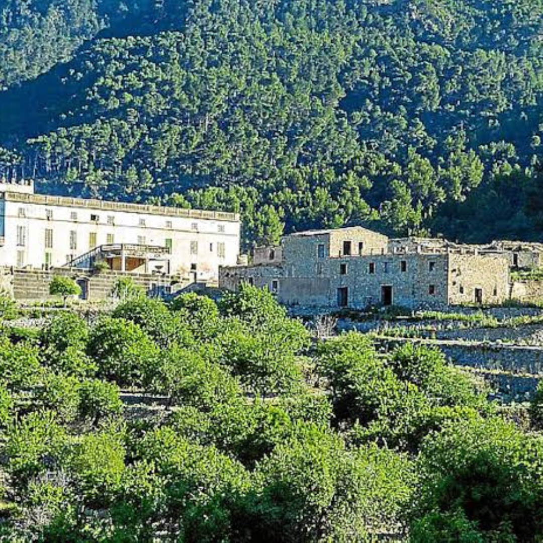 No momento, você está visualizando Hotel de Richard Branson recupera prática da apicultura em Maiorca, Espanha