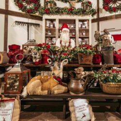 Com o tema “Natal das Renas”, o Flamboyant Shopping convida para um Natal mágico