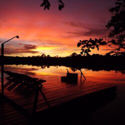 Carnaval na Amazônia tem atmosfera tranquila, excelente gastronomia e passeios inesquecíveis