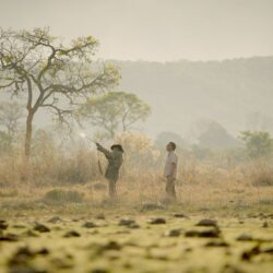 Com apoio do Governo de Goiás, Mostra O Amor, a Morte e as Paixões exibirá filmes premiados e do Oscar 2025